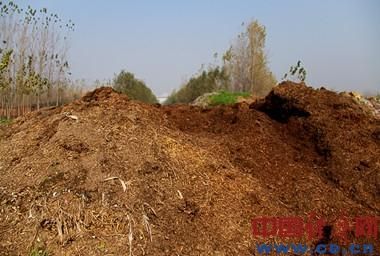 銀鴿投資的廢渣堆，村民介紹銀鴿投資除了這種廢渣外，還把白色與黑色泥狀廢渣在漯河鄉村中到處亂堆。