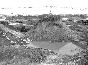 煤渣旁的池水已變成藍色。快報記者 曹玉兵 攝