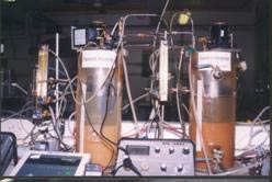 圖6.  分級-A方式下與F30方式下污泥的沉淀狀態