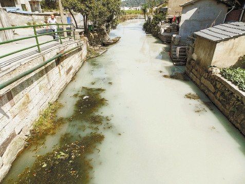 “牛奶河”事發紹興，為石料場違規排污所致