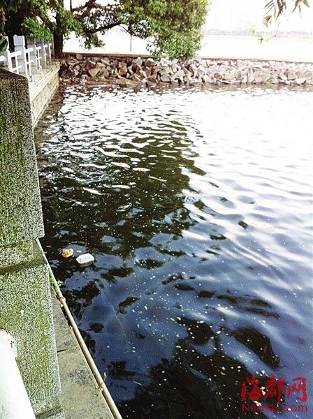 一條5米寬的污水帶，在閩江中綿延三公里