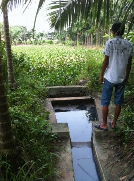 排放口污水如墨