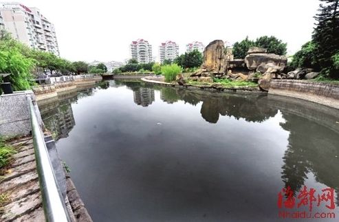 截污管破裂，大量工業廢水排進內河；附近小區糞水直排，導致河水惡臭。