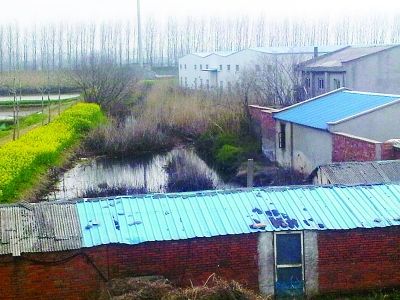 污染企業圍墻外，院子里水是黑色的。