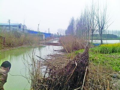 附近一條河流河水呈墨綠色。