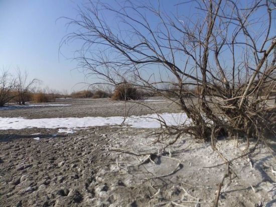 內蒙古托克托多座村莊因污水無法耕種土地(組圖)