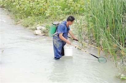 下水兩小時蝦都沒撈到