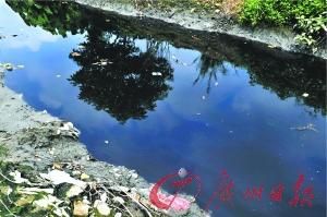 里水某村一條被污染嚴重的內河涌，烏黑發臭的水，將會流到廣佛跨界的水口水道里。