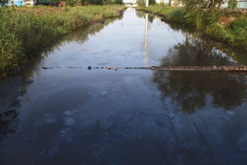 史口鎮七干渠中滿是黑色的污水，污水上還漂浮著油花。