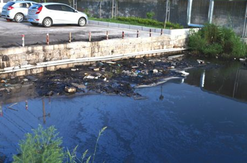 污水中經常可見黑色漂浮物。