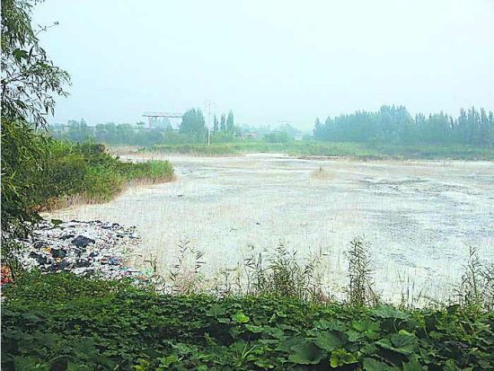 村內的污水坑讓村民深惡痛絕 