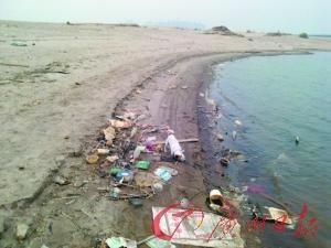 從北江沖上岸邊的垃圾