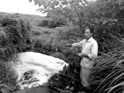 污水流經下游灌溉水塘，產生大量泡沫。