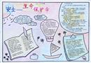 手抄報(bào)：生命保護(hù)傘