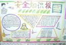 手抄報(bào)：安全綠葉