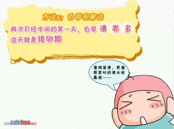 備孕須知 8方法推算排卵期