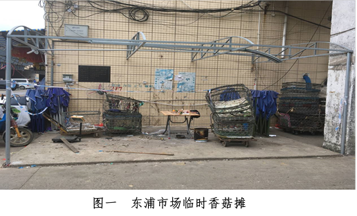 塘廈鎮“9·17”一般觸電事故調查報告