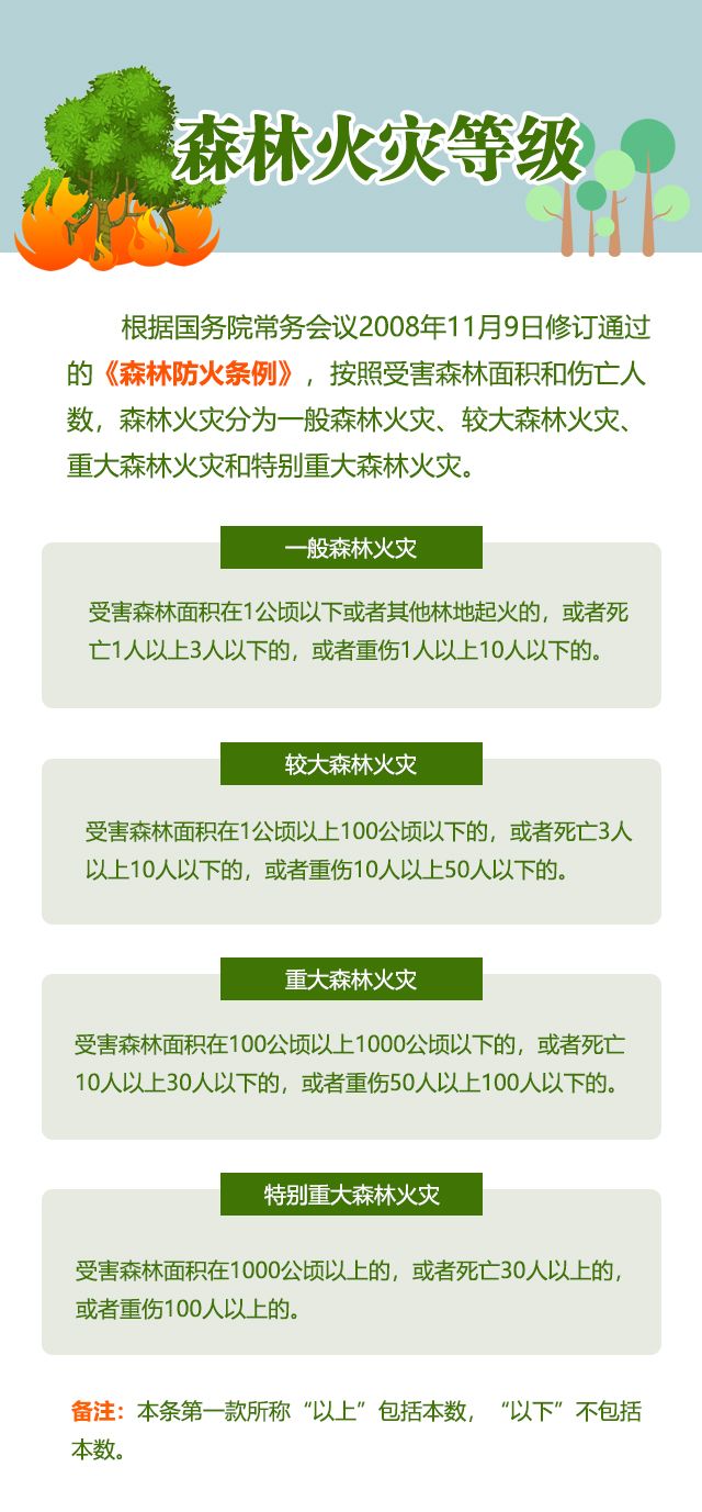 森林火災的罪與罰