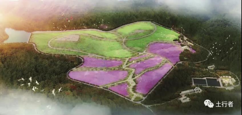 圖2 生態(tài)修復(fù)初期效果示意.jpg