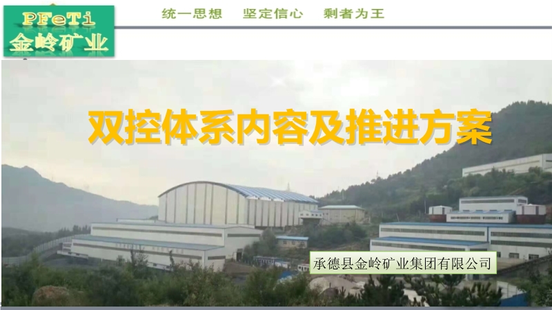 雙控體系內容及推進方案