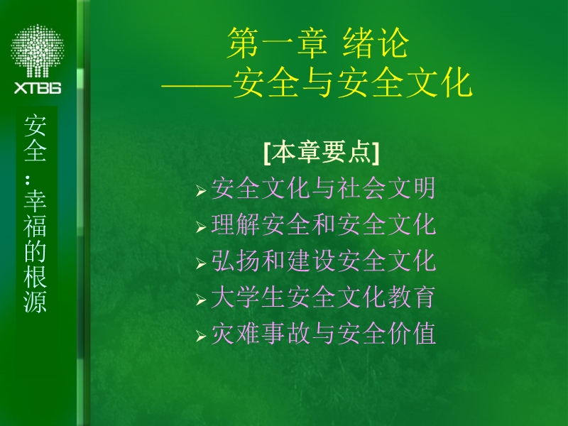 安全文化與安全