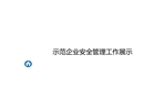 示范企業安全管理工作展示