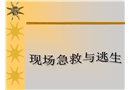 安全培訓(xùn)之現(xiàn)場急救與逃生