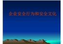 企業安全行為和安全文化