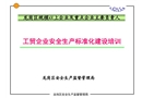 安全生產(chǎn)標(biāo)準(zhǔn)化培訓(xùn)課件