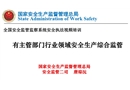 有主管部門行業領域安全生產綜合監管