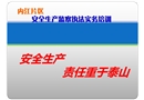 安監(jiān)執(zhí)法實務(wù)培訓(xùn)課件