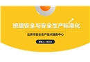 班組安全與安全生產(chǎn)標準化