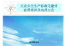企業安全生產標準化建設宣貫培訓及動員大會