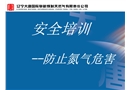 防止氮氣危害安全培訓