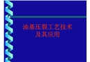 油基壓裂工藝技術及其應用