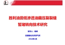 勝利油田低滲透油藏壓裂裂縫暫堵轉向技術研究
