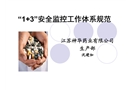 “1+3”安全監(jiān)控工作體系規(guī)范
