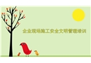 企業(yè)現(xiàn)場施工安全管理培訓(xùn)