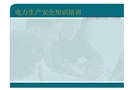 電力生產安全知識培訓