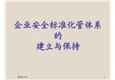 企業(yè)安全標(biāo)準(zhǔn)化體系建立與保持