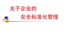 關(guān)于企業(yè)的安全標(biāo)準(zhǔn)化管理