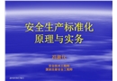 安全生產標準化原理與實務