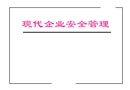 現(xiàn)代企業(yè)安全管理介紹