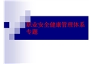 職業(yè)安全健康管理體系專題