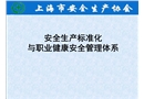 安全生產標準化與職業健康安全管理體系
