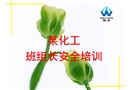 某化工班組長(zhǎng)安全培訓(xùn)
