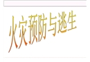 安全培訓(xùn)之火災(zāi)預(yù)防與逃生