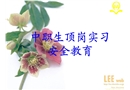 頂崗實(shí)習(xí)的安全教育