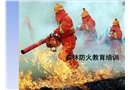 森林防火培訓