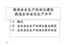 推進安全標準化建設